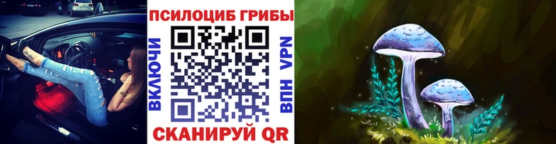 купить закладку  Комсомольск-на-Амуре  Псилоцибиновые грибы ЛСД 