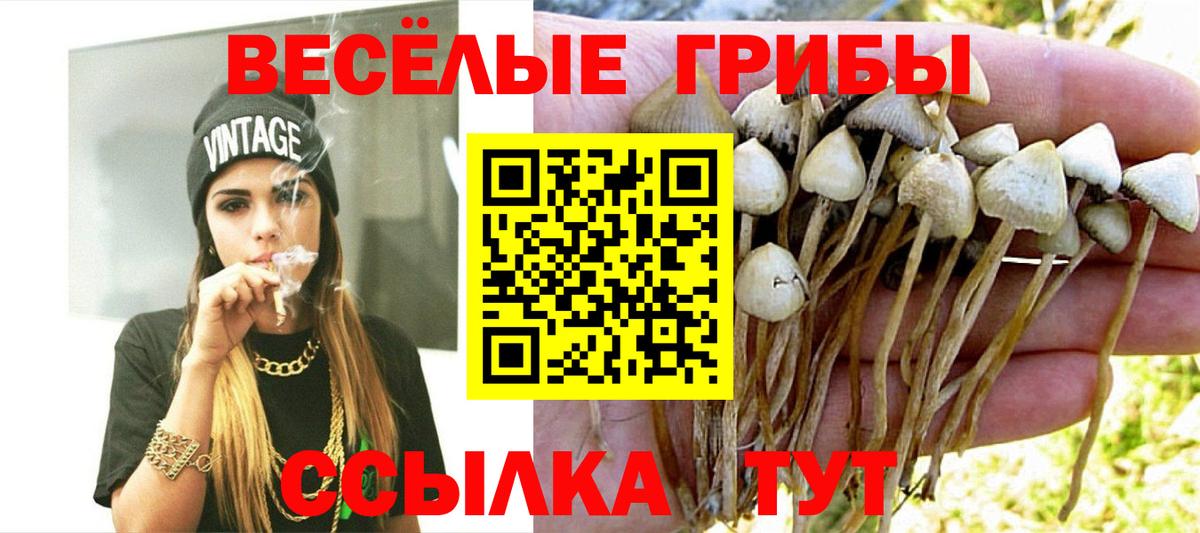 Комсомольск-на-Амуре  Псилоцибиновые грибы мухоморы  Вход с VPN  Галлюциногенные грибы Magic Shrooms 